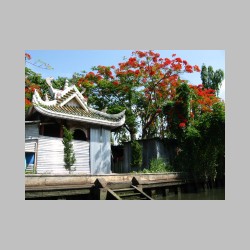 o tej porze wiele drzew pieknie kwitlo.html